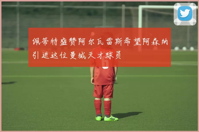 佩蒂特盛赞阿尔瓦雷斯希望阿森纳引进这位曼城天才球员